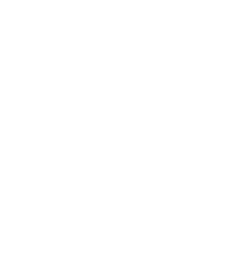 شعار وسام الجنوب للخدمات العامة باللون الابيض