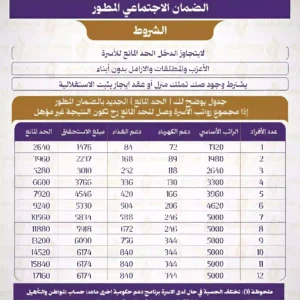 شروط الضمان الاجتماعي المطور
